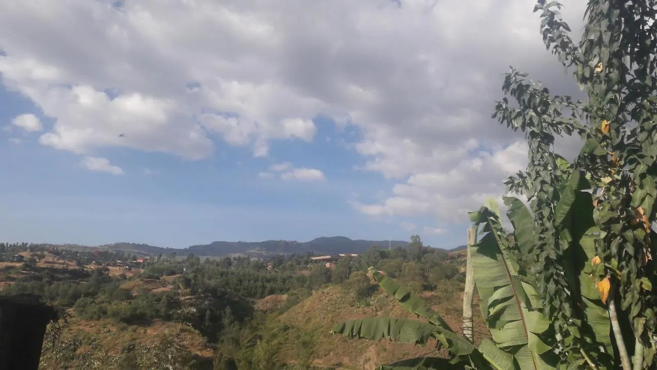 Budget Home Stay And Tours Lalibela Homestay