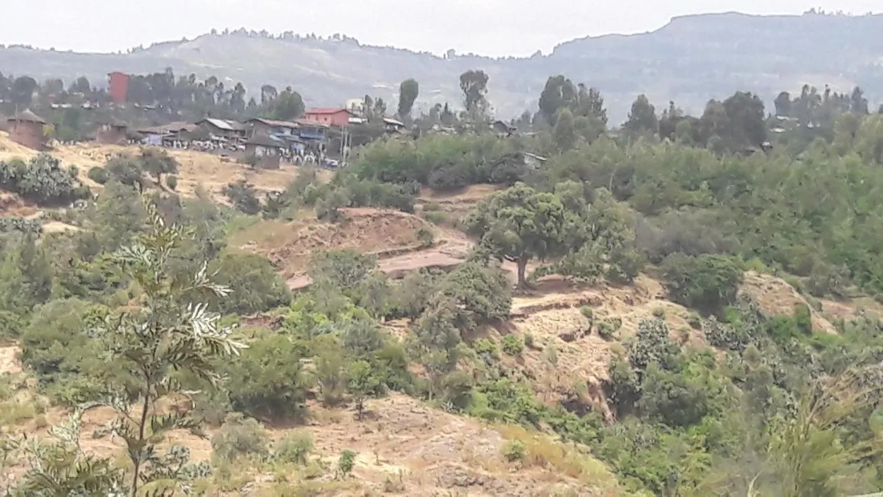 Homestay Budget Home Stay And Tours Lalibela